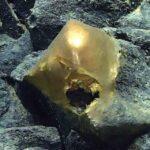 Alaska’da okyanusta bulunan altın kürenin sırrı çözüldü