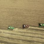 Rusya’nın buğday ihracatı ilk çeyrekte yüzde 14 arttı