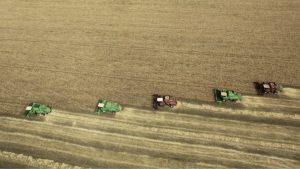 Rusya’nın buğday ihracatı ilk çeyrekte yüzde 14 arttı